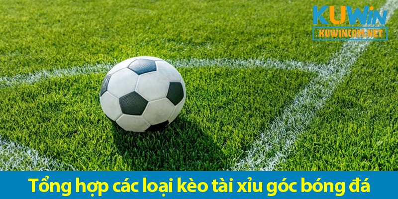 Kinh nghiệm chơi kèo tài xỉu phạt góc bạn nên thử 2025